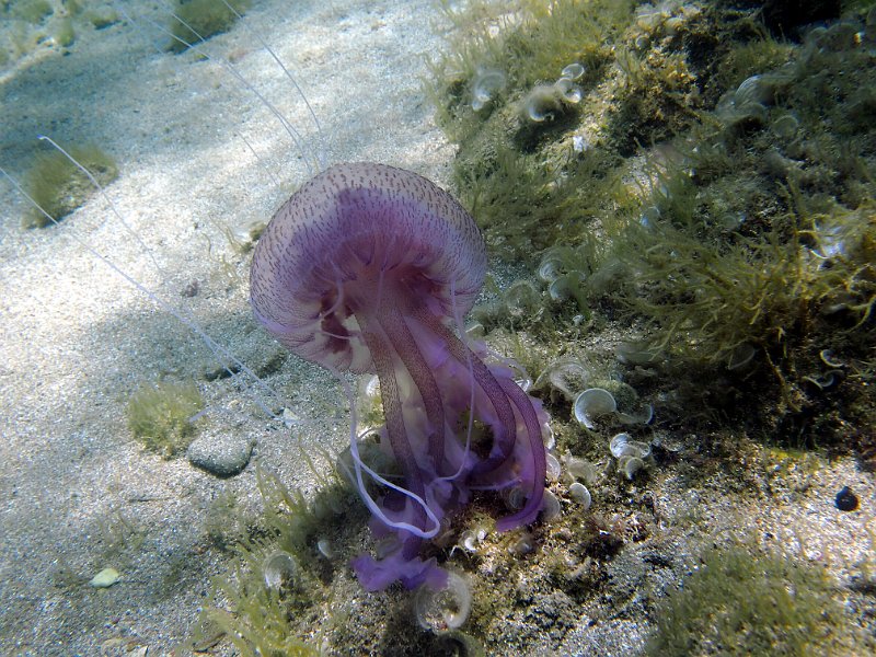 2013-06-13 14-19-47 Steven.jpg